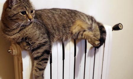 Revoliucija Latvijoje. Šildymo kainoms įkaltos „lubos“. Pavyzdys ir Lietuvai?