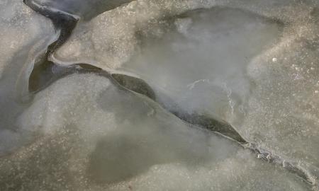 [ŽT] Per 24 val.: Štai kuo pavirs Lietuva. Stebėkite