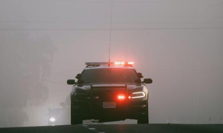 Liksite už durų? Sužinokite, kieno „Žaliasis liudijimas“ po antradienio virs beverčiu popieriumi