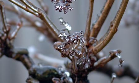 Neįtikėtinas scenarijus: sinoptikai įvardijo tikslią datą, kai viskas pasikeis neatpažįstamai