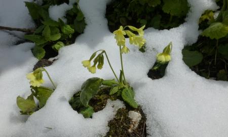 Lietuvos laukia gamtos rykštė? Prognozė, kurią norėsite perskaityti dukart