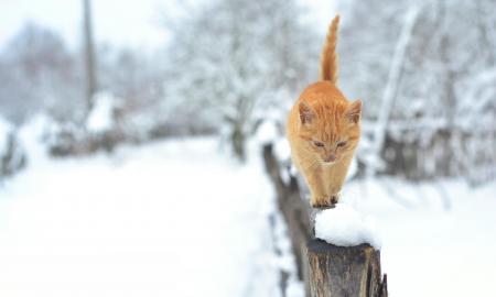 „...tiesiai virš mūsų galvų.“ Meteorologai nematė to dešimtmečius. Ar Lietuva atlaikys?