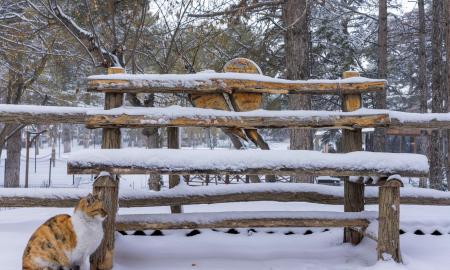 Išskirtinė prognozė: LHMT įvardijo tikslią datą, kada Lietuva pagaliau „atitirps“