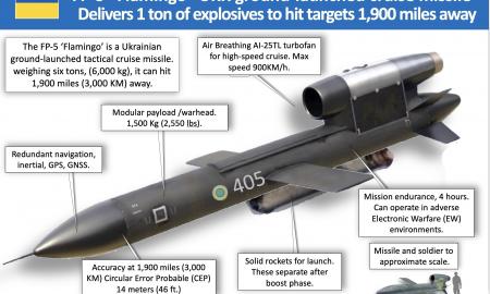 Ypač skaudus smūgis Ukrainai. Pripažino pats Zelenskis. Kas nutiko „Flamingo“?