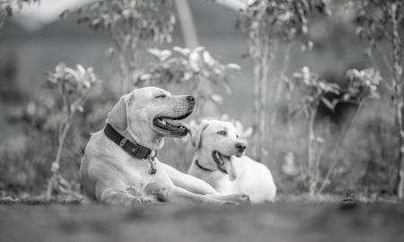 Vasario 23-ioji bus istorinė. Orai ruošia staigmeną, kurios niekas nesitikėjo