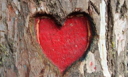 Skaičiuoklė meilei: mokslininkai įvardijo idealų amžiaus skirtumą – ar jūsų santykiai turi ateitį?