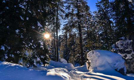 Artimiausių dienų orų prognozė Lietuvai rodo ryškų atmosferos lūžį