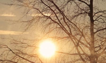 Ateina nuo Lenkijos. Pavasario iliuzija baigsis košmaru: gamtos smūgis, kokio nesitikėjote