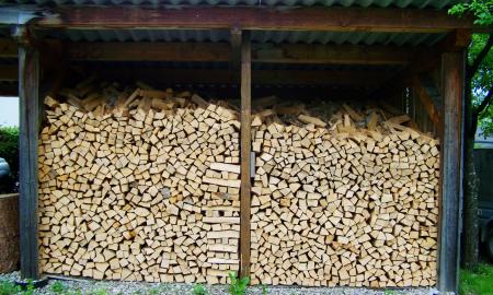 Tai blogiausia vieta laikyti malkas. „Akimirksniu supelys“