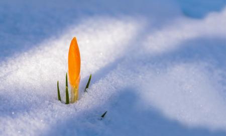 Kovo mėnesio sensacija: sinoptikai atskleidė kortas – ruoškitės neįtikėtinam sukrėtimui