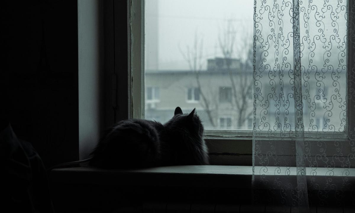 Unikali serija. 40 dienų iš eilės. Kasdien