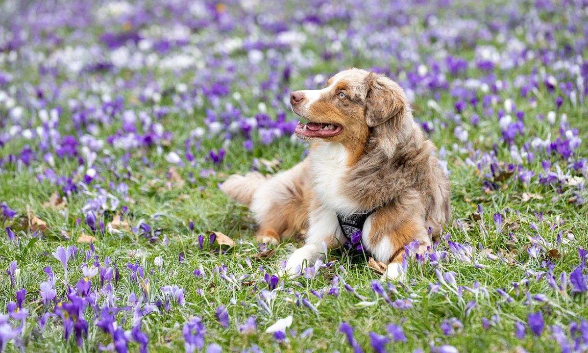 72 metai laukimo baigėsi: Ciklonas „Valli“ paliko pėdsaką, kurio neištrinsime iki gegužės!
