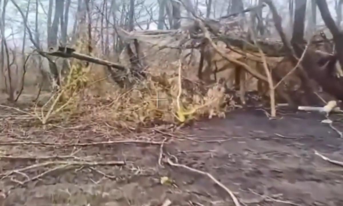 Rusai atakuoja ukrainiečių haubicas. Bet kažkas čia ne taip (Video)