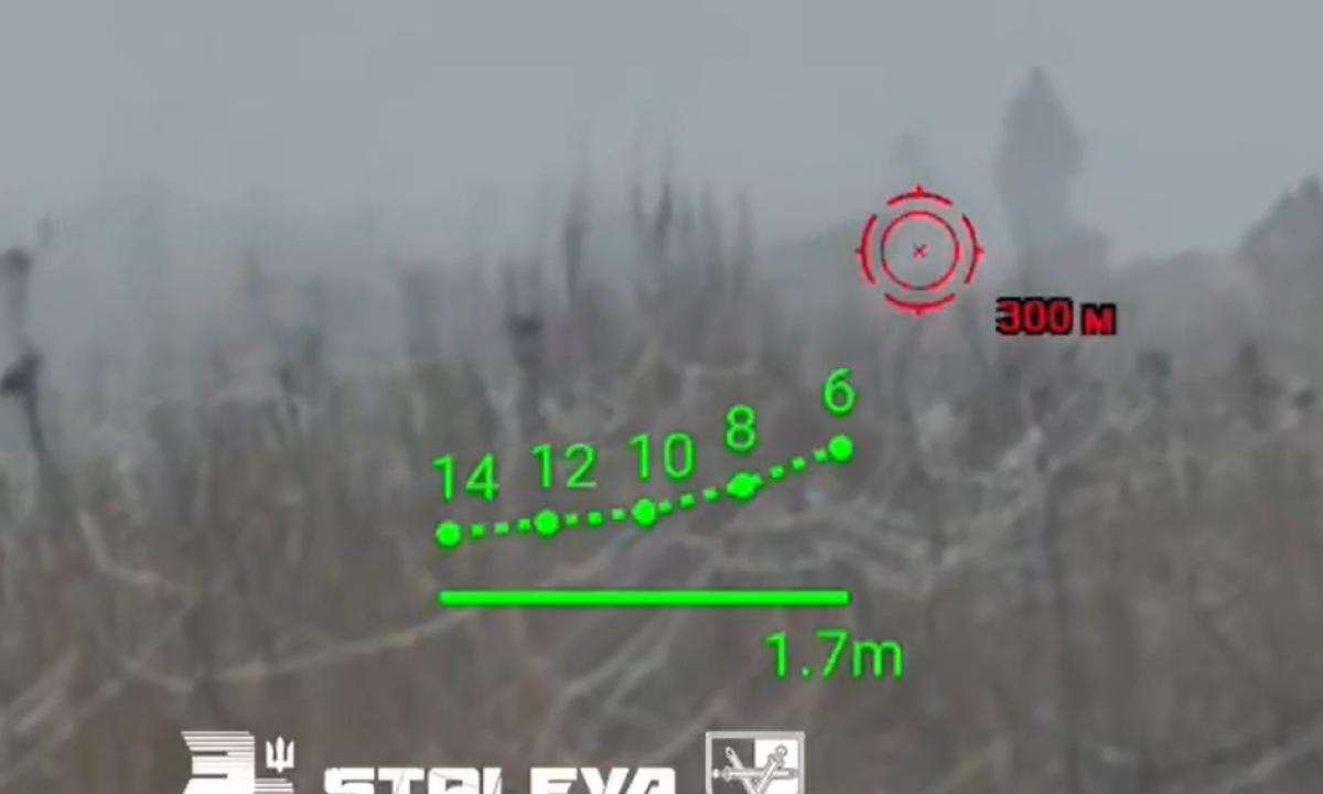 Kaip kompiuteriniame žaidime. Nauja karybos era (Video)