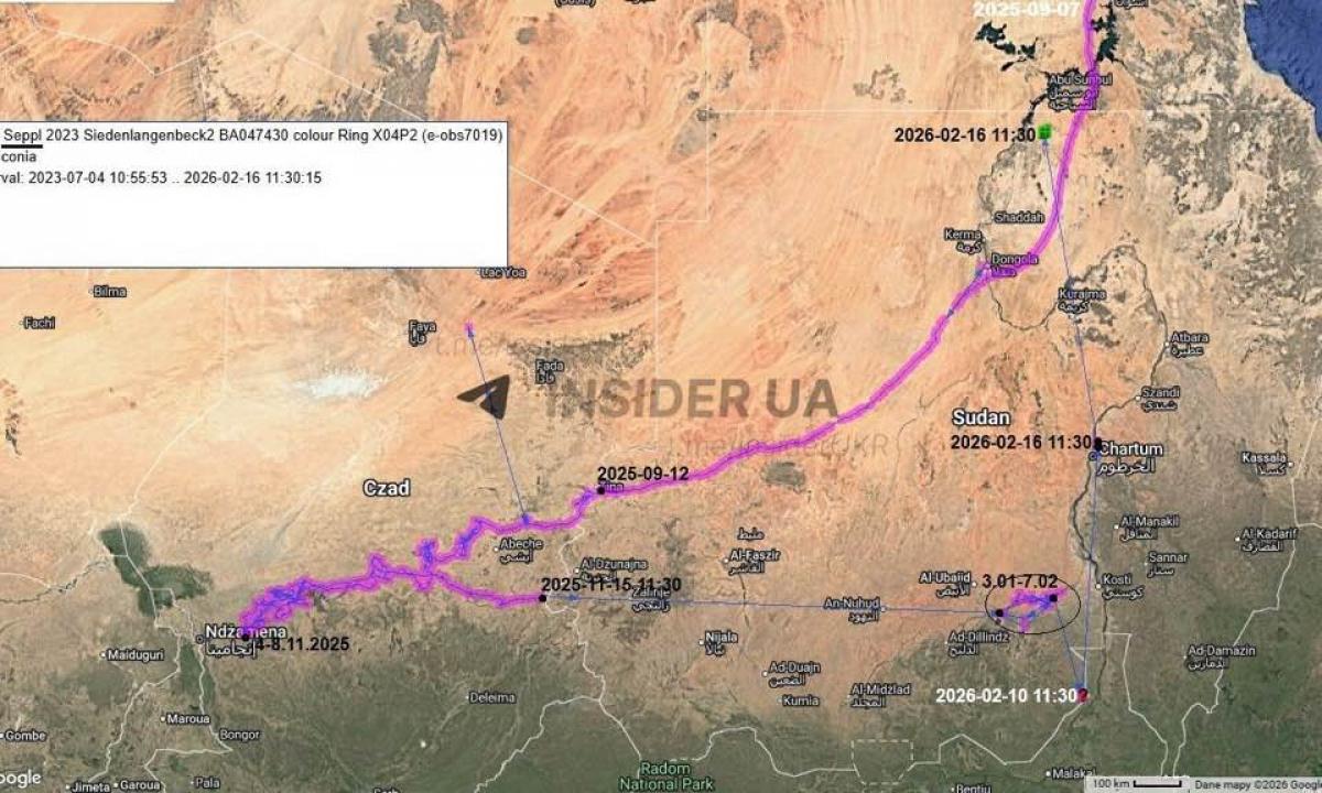Sprendimas priimtas: prasidėjo masinis judėjimas link Lietuvos! (Žemėlapis)