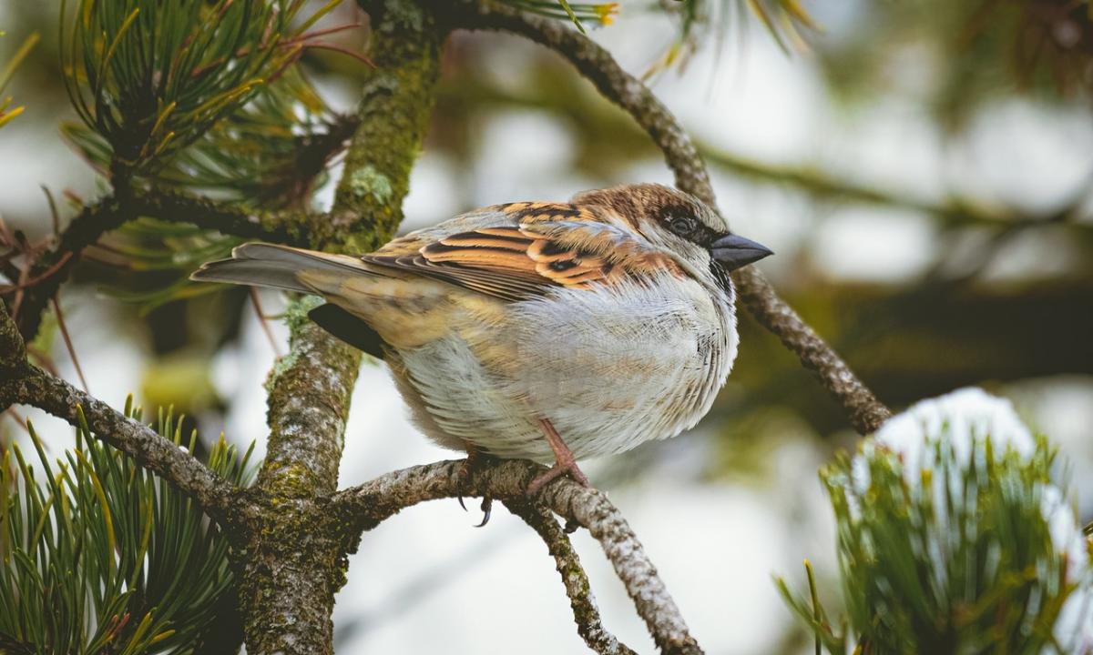 Po 48 val. viskas apsivers aukštyn kojom: dramatiškas posūkis orų žemėlapiuose