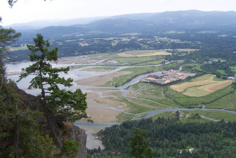 Kauvičano upės estuarija