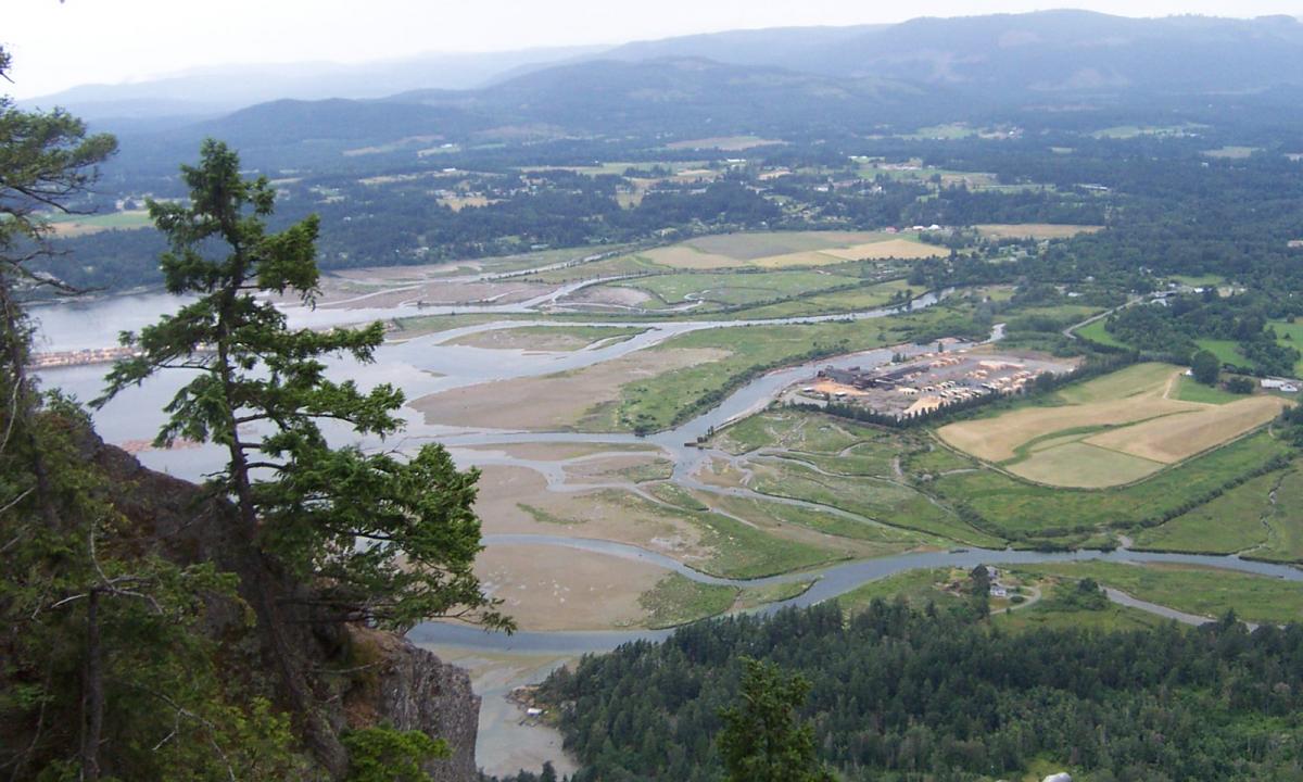 Ne tik mikroplastikas. Vandenyje kažką aptiko. Nauja grėsmė? 
