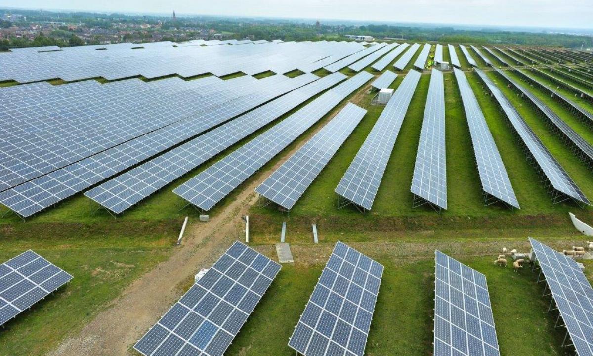 Grėsmė apie kurią niekas nekalba. Tamsioji saulės baterijų pusė. „Gali sunaikinti vos per 4 metus“