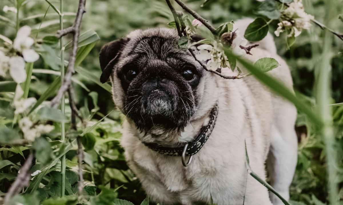 Maudynės prasidės rekordiškai anksti! Gamta ruošia staigmeną