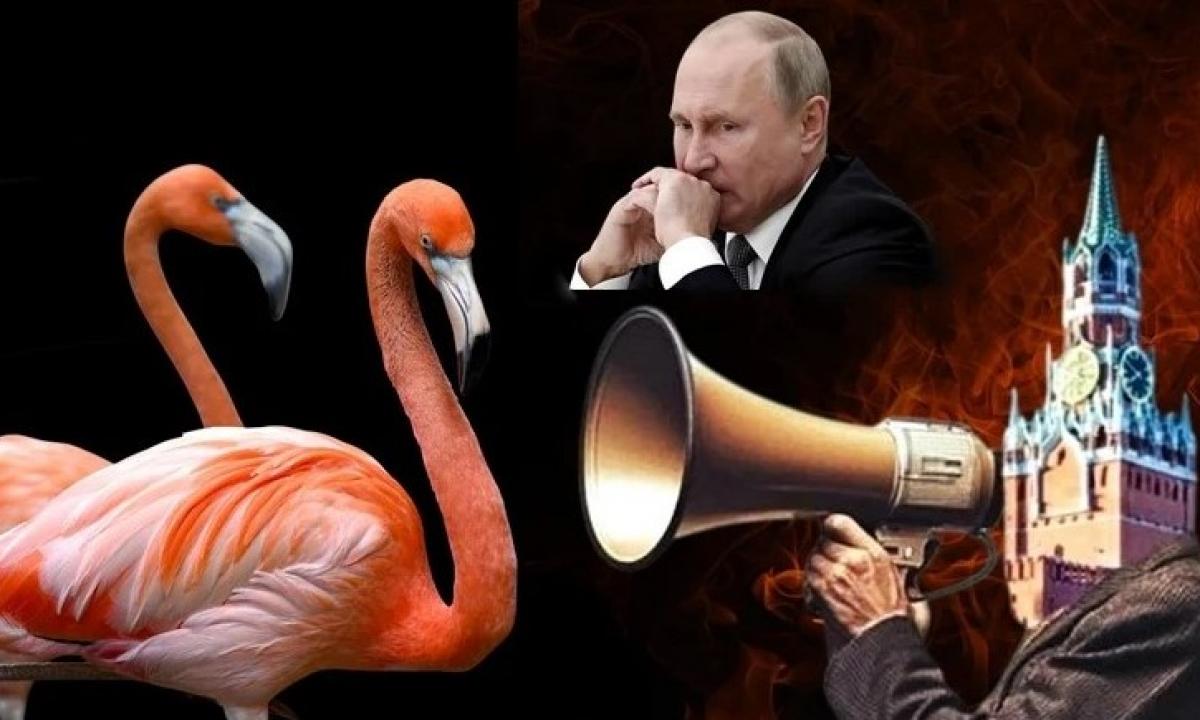 Pirmasis didelis raketų pavojaus signalas visoje Rusijoje. „Flamingai artėja!“ (Video)