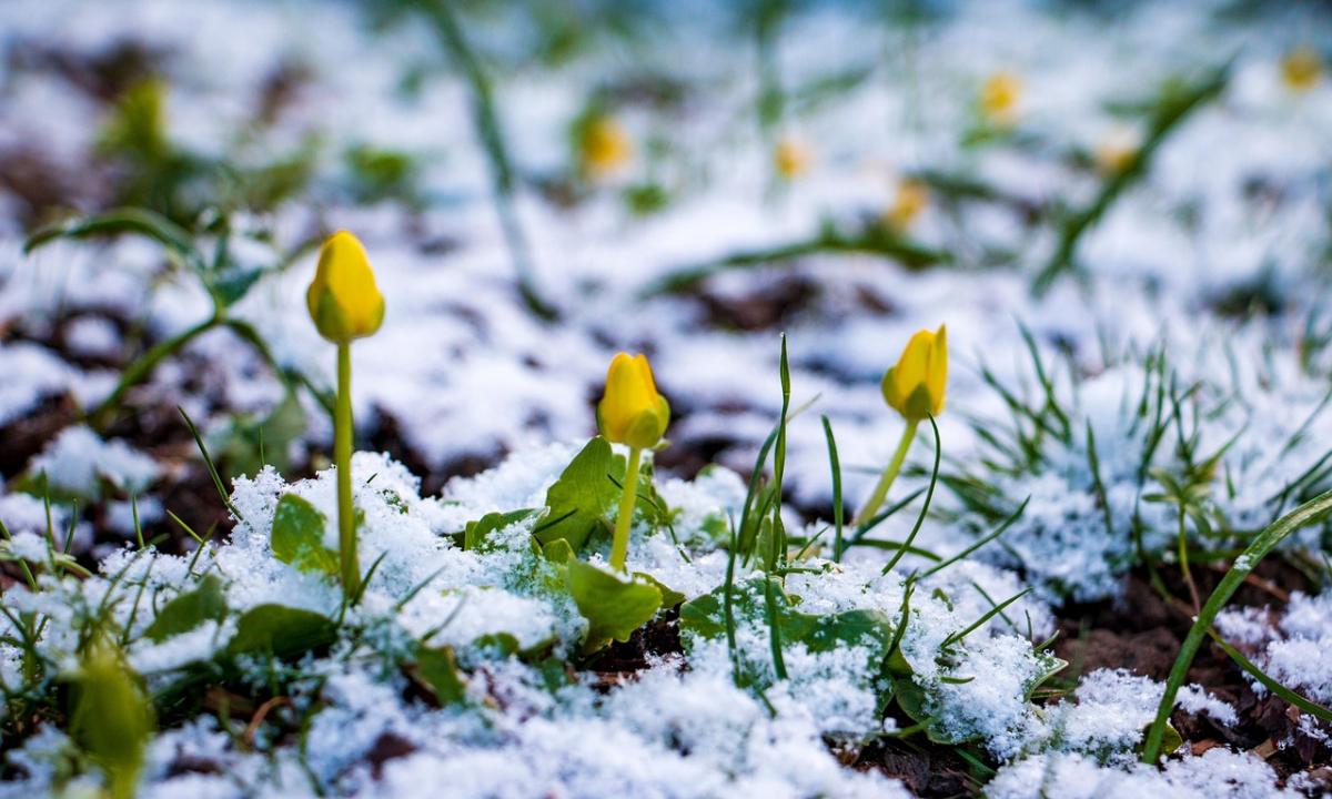 Meteorologai šokiruoti: štai kas laukia per Velykas