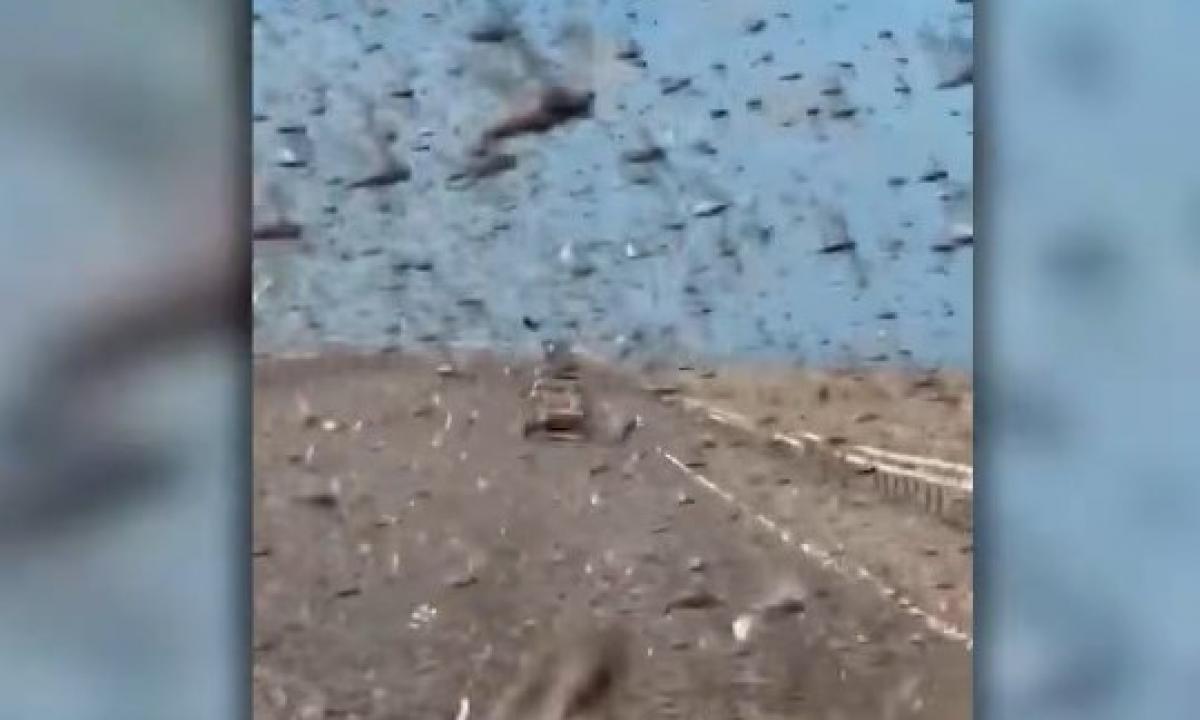 Bibliniai vaizdai Sacharoje. Juos užklupo maras (Video)