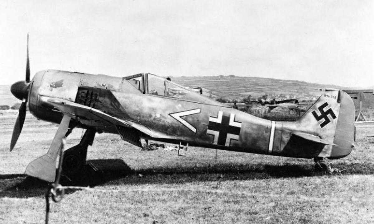 Rusijos miške – nukritęs vokiečių naikintuvas! Rasta sabotažo įrodymų (Video)