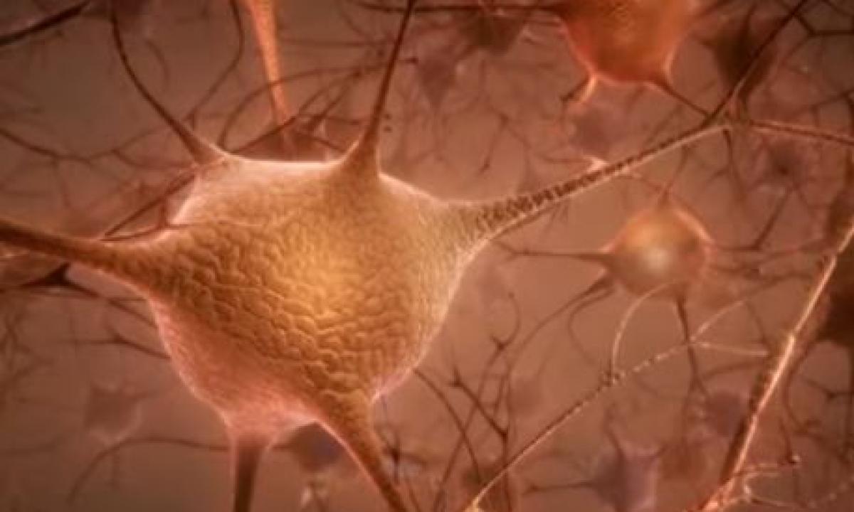 Šiurpi tiesa apie jūsų smegenis: jos tiesiogine prasme „ėda“ save, bet tai – geriausia žinia