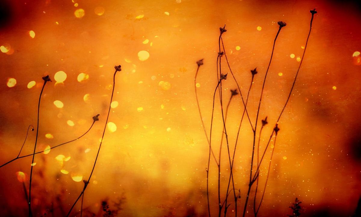 Ji žada sumušti visus 170 m. rekordus: ar esate pasiruošę pamatyti tikrąjį vasaros veidą?