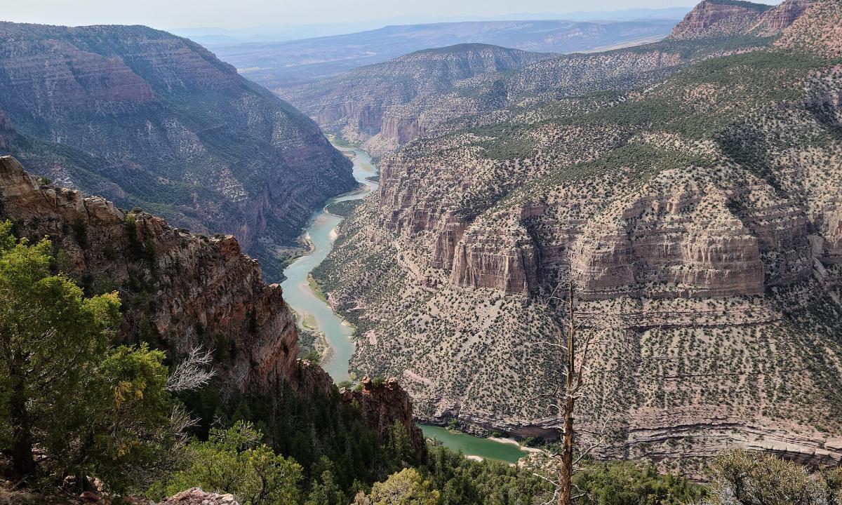 Viena keisčiausių upių pasaulyje. Kodėl Žalioji upė teka „į kalną“, o ne atvirkščiai?