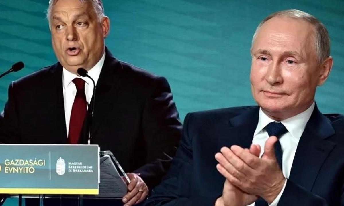 Jis grasina panaudoti jėgą prieš Ukrainą! Putinas bus sužavėtas