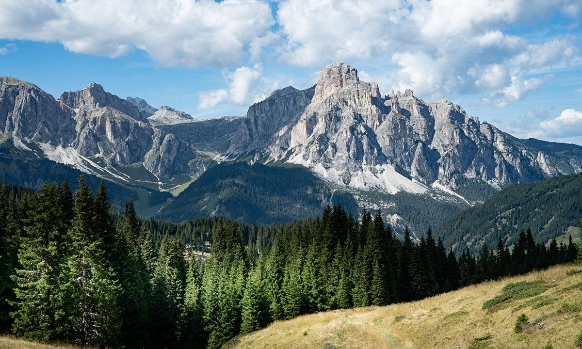 Sensacija! Mokslininkai skilę į dvi stovyklas. Medžiai išpranašavo... saulės užtemimą?