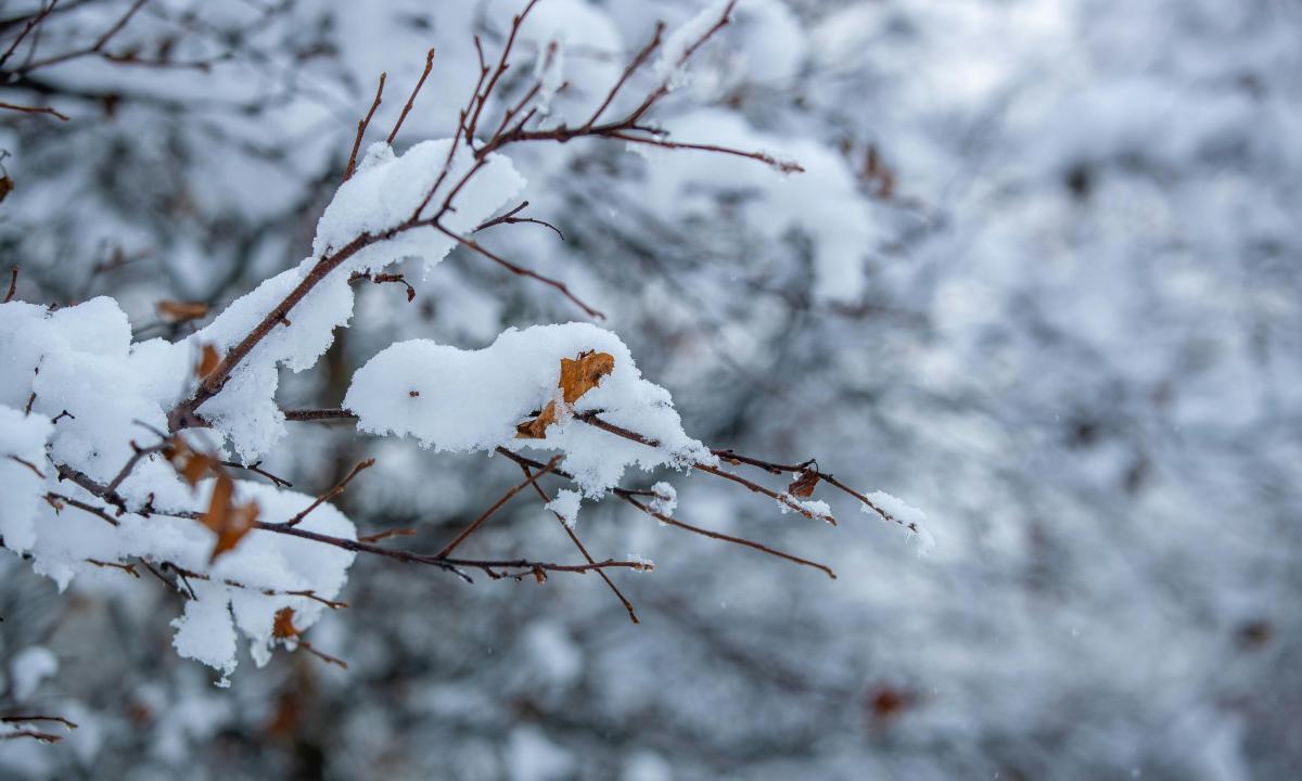 Smūgis optimistams: sugrįžta tai, ko visi tikėjosi mažiausiai