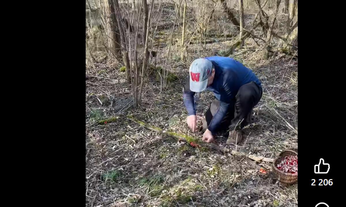 „Ruoškite krepšius jau dabar“: mįslingas miško radinys paneigė visus iki šiol galiojusius sezonų dėsnius(Video)