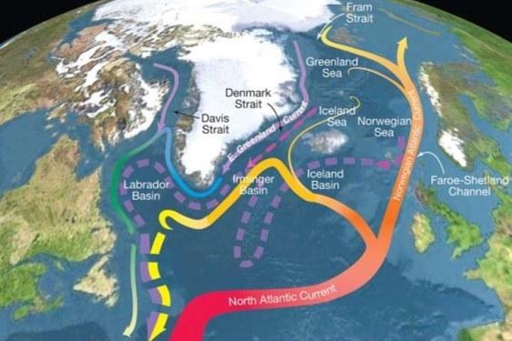 Atlanto vandenyno meridianinė cirkuliacija