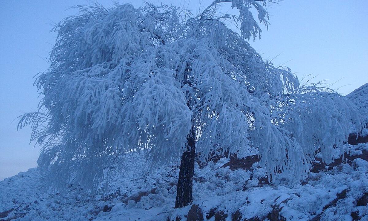 Šito nesitikėjo niekas: kovo orai Lietuvoje rėš iš peties – pasiruoškite didžiausiam lūžiui