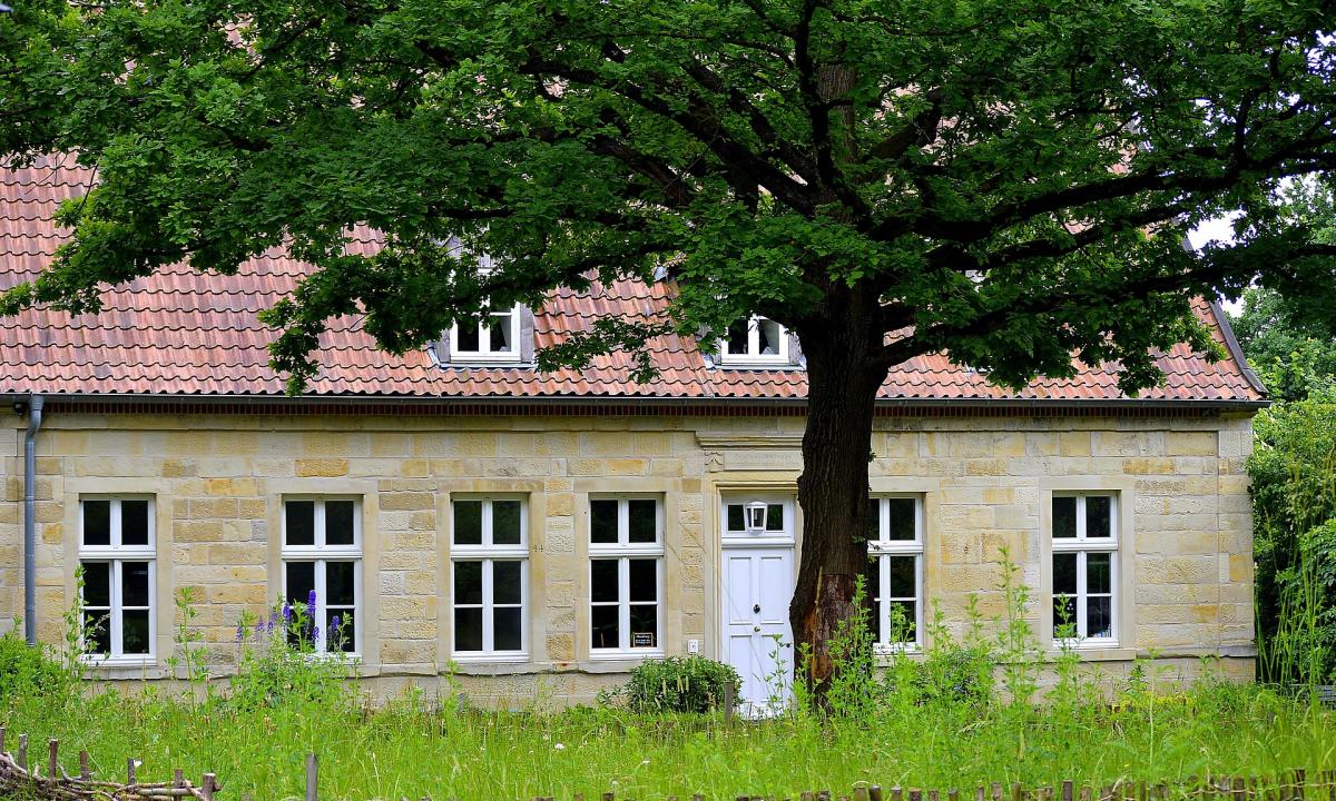 Blogiausias pasirinkimas šalia namo. Jis pažeidžia vamzdžius ir pritraukia žaibą