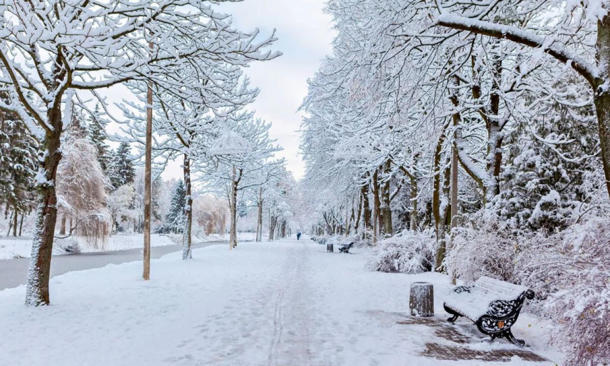 Lemtingas posūkis: temperatūros „deficitas“ smogs tada, kai mažiausiai tikėsitės