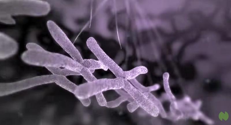 Asociatyvi nuotrauka