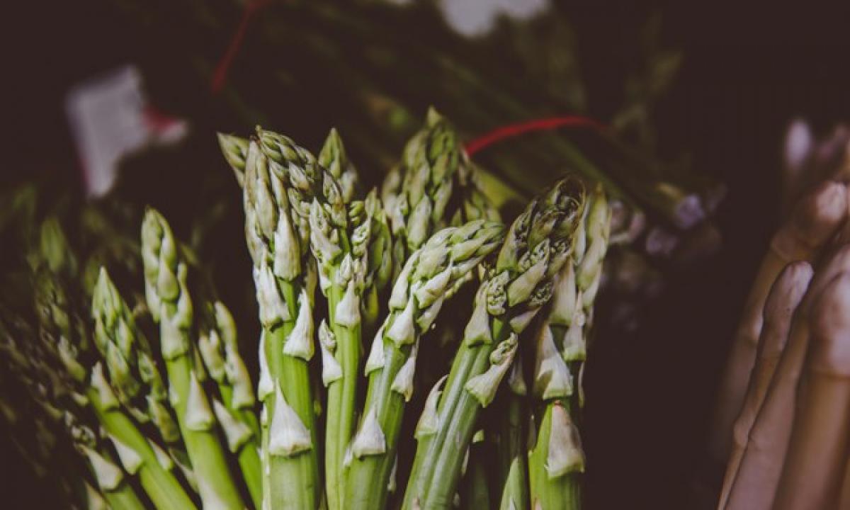 Instagramo žvaigždė po didinamuoju stiklu. Europa skelbia negailestingą verdiktą smidrų mėgėjams