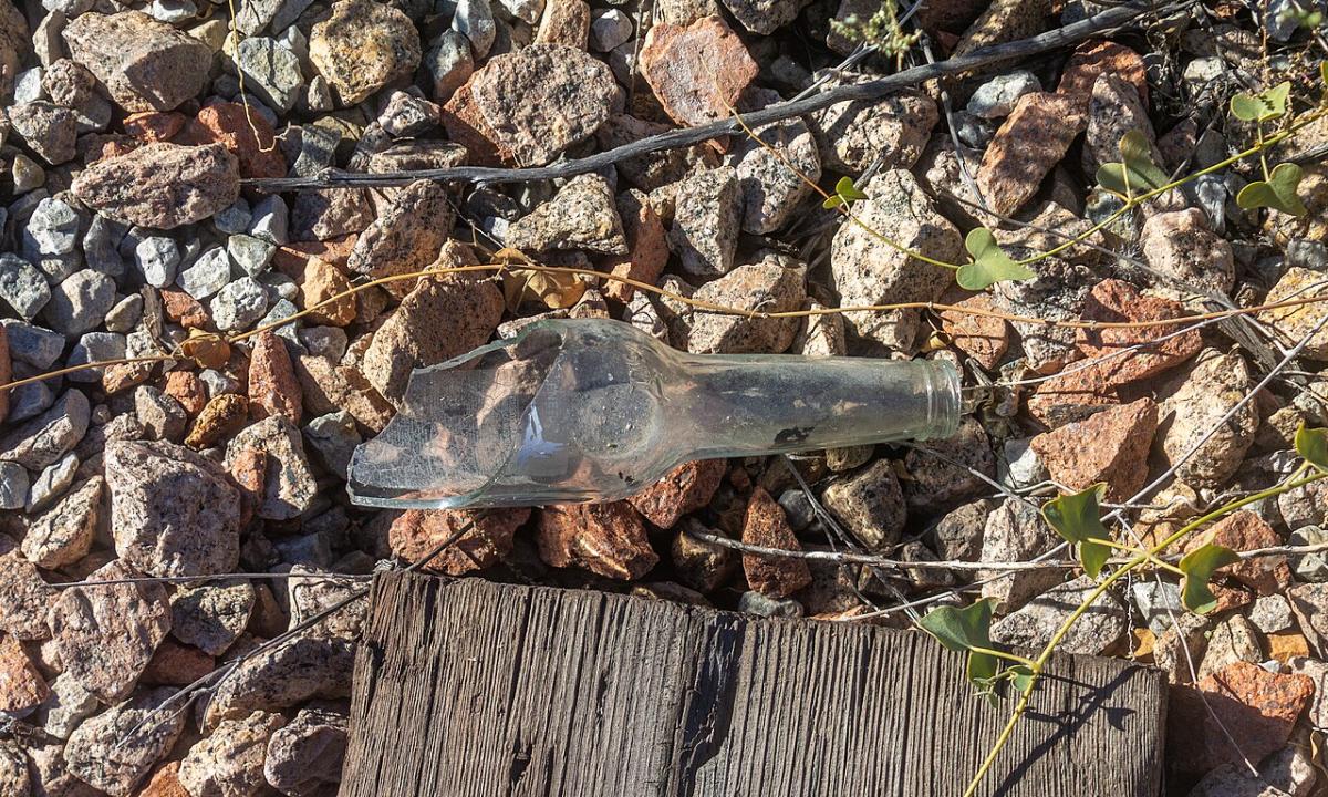 Kelios taurės ir geras vakaras netampa smagia naktimi. Kodėl alkoholis sutrukdo vyrams