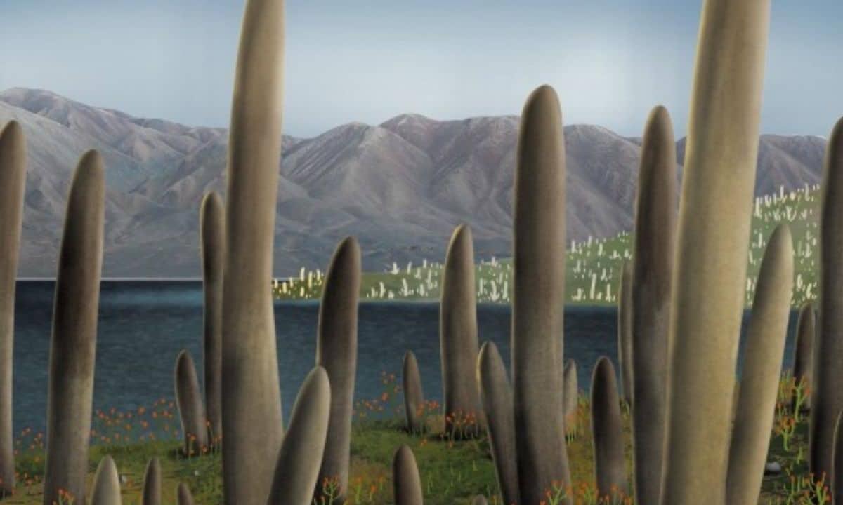 Atrasta visiškai nauja gyvybės forma. Paslaptingi milžinai nepaklūsta mokslui