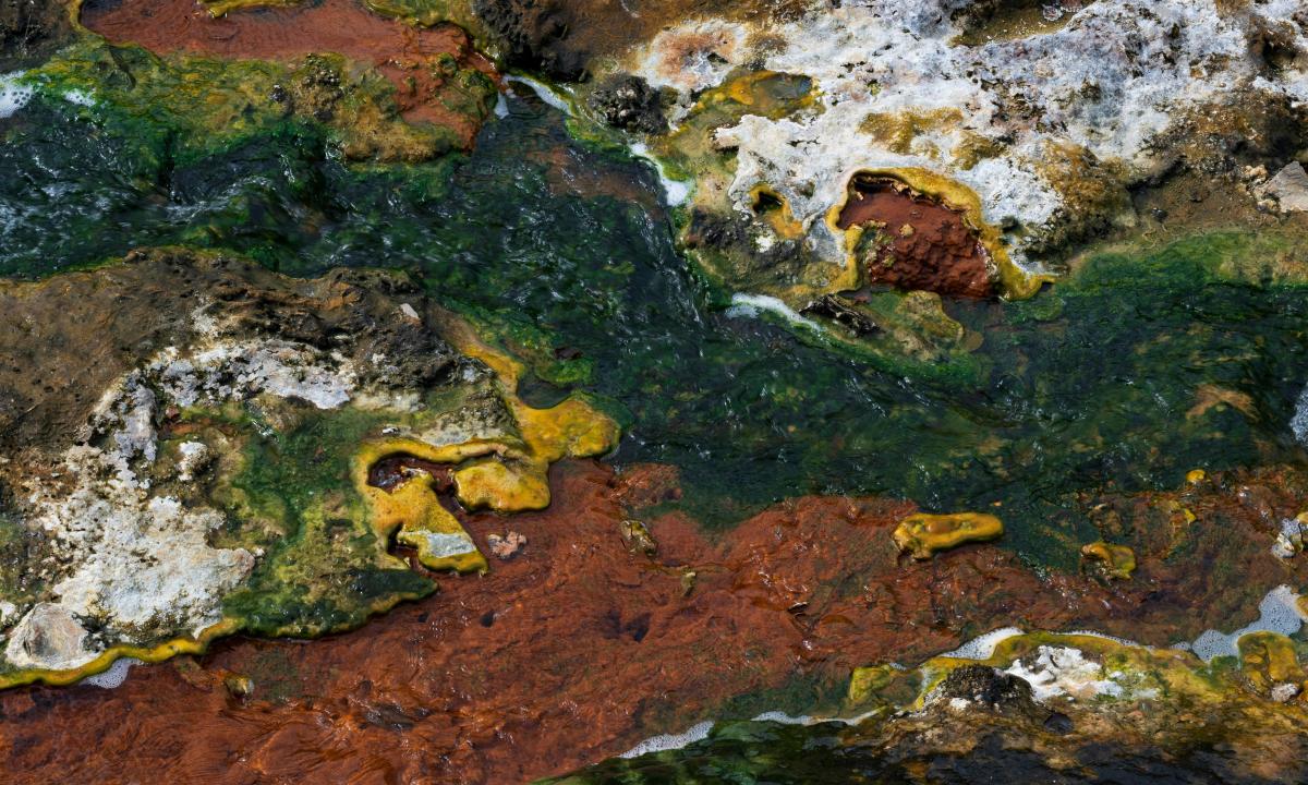 „Jie laiko pultelį“: kontrolė, kurią Europa pastebėjo per vėlai