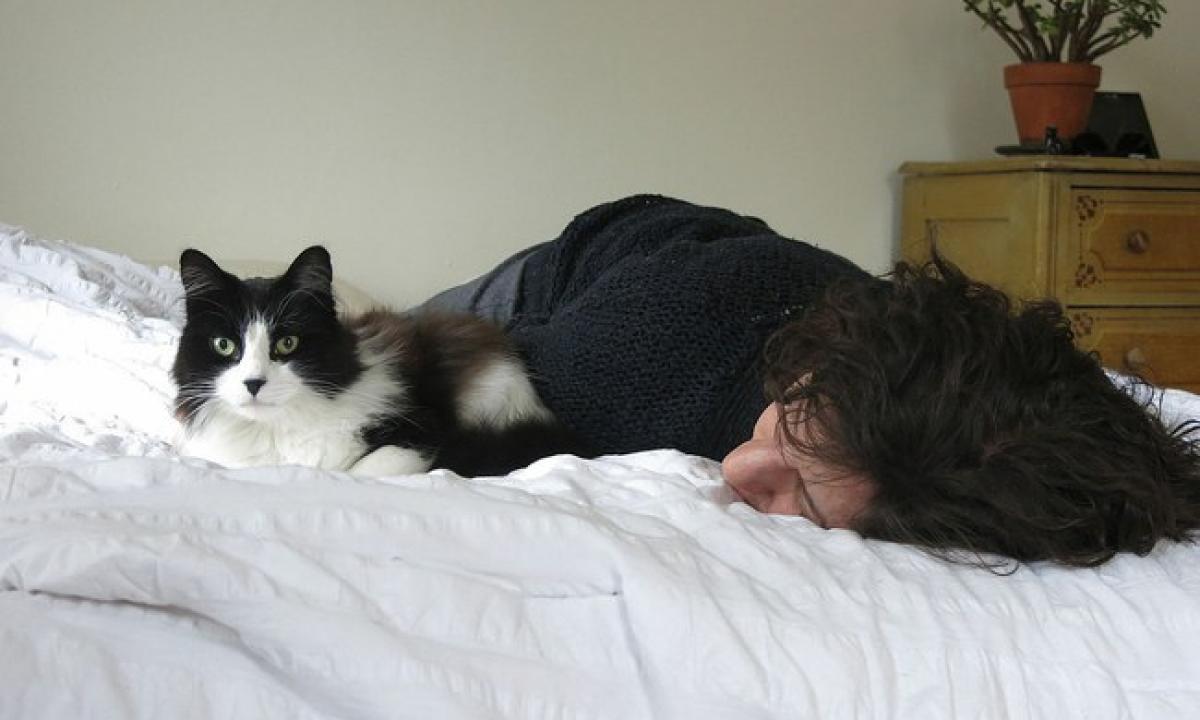 Katė miega ant jūsų? „Ji perduoda jums svarbią žinią“