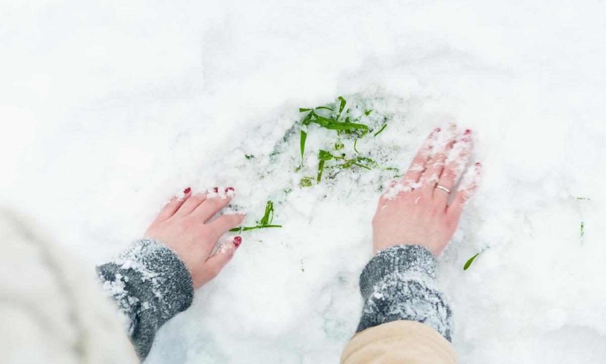 Panika prognozėse: Kas nutiks mūsų Velykoms po 72 valandų?
