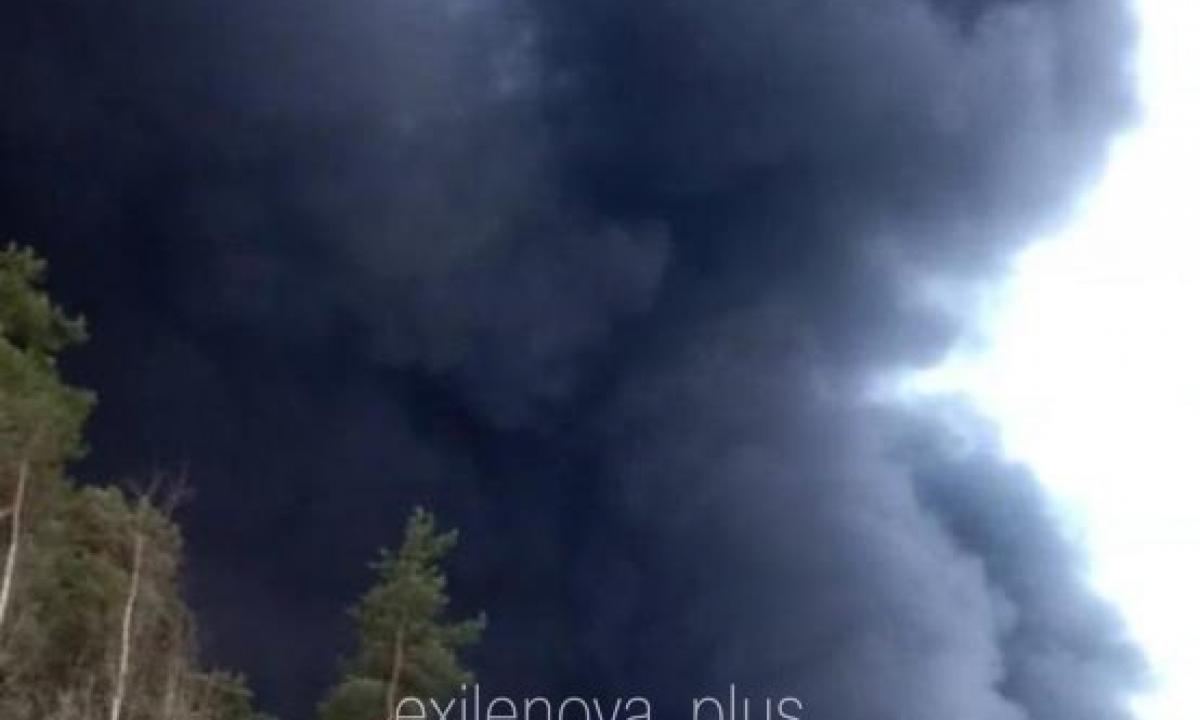 Milžinas parklupdytas. Jie pasiekė neįmanomą (Video, foto)