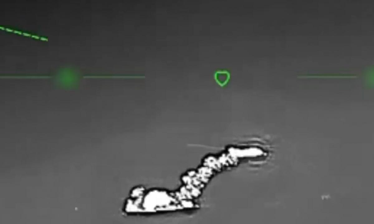 Koks taikinys! Ukrainiečių dronai pasiekė retą ir labai brangų rusų turtą Kryme (Video)