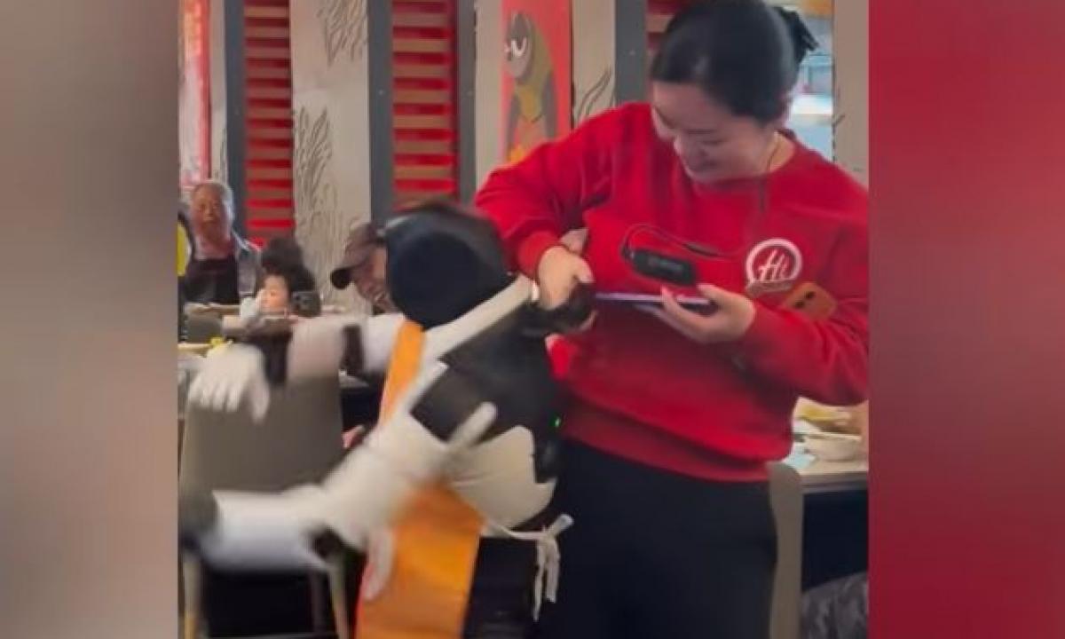 Prabangiame restorane robotas-padavėjas „išėjo iš proto“ ir užpuolė lankytojus (Video)