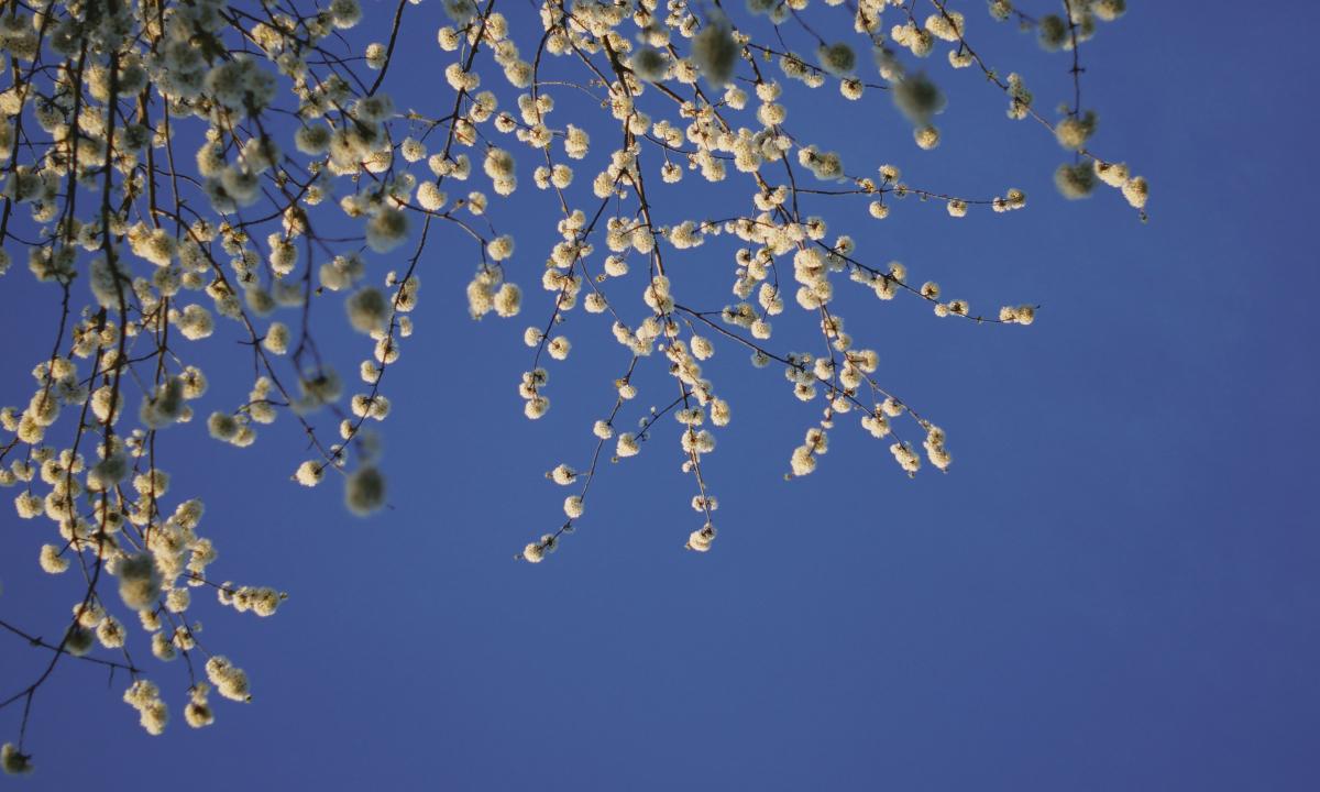 Velykų siurprizas: iš pietvakarių veržiasi tai, ko niekas nesitikėjo